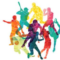 Metodika výzkumu míry popularity sportu v ČR