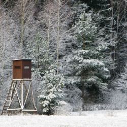 Minulá lovecká sezona byla úspěšná