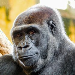 Mojina dcera Duni je v Praze