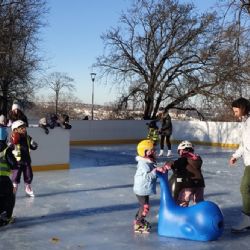 Na Dvojce se letos bruslí nejen v Grébovce, ale i v Riegrových sadech