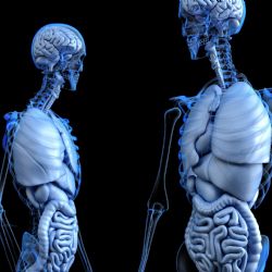 Na osteoporózu si zakládáme už v dětství – kdo se nehýbal, bude mít problém