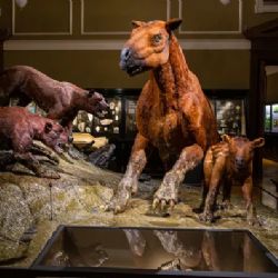 Národní muzeum otevírá Okna do pravěku