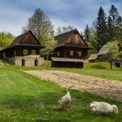 Národní muzeum v přírodě otevírá všechna svá muzea