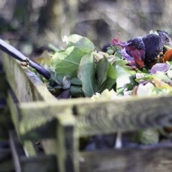 Nový spot Pražských služeb “VYTŘIĎ TO!“ cílí na bioodpad