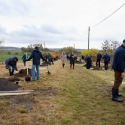 Obnova historické krteňské cesty
