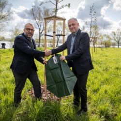 Pivovar Radegast zavlažuje stromy ve Frýdku-Místku