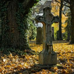 Počty zemřelých v lednu byly na předpandemické úrovni