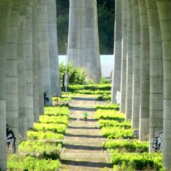 Podobu Suchdolského mostu na chystané severní části Pražského okruhu určí architektonická soutěž
