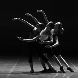 Praha 1 rozdělila dotace na podporu kulturních, sportovních a volnočasových projektů