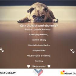 Praha 2 již třetí rok podporuje Giving Tuesday