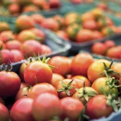 Praha 2 má svou výdejnu Potravinové banky, nachází se v přízemí Novoměstské radnice