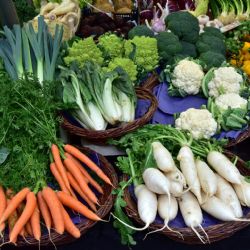 Praha hlásí rekordní množství svezeného směsného i tříděného odpadu. Skokanem roku je bioodpad