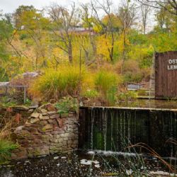 Praha pomůže své zoo se ztrátami