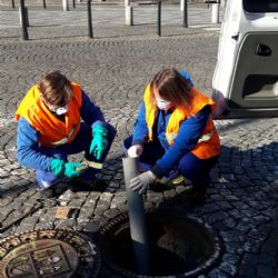 Pražští potkani budou opět pod tlakem deratizátorů z PVK