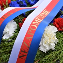 Proběhl vzpomínkový akt u příležitosti Dne válečných veteránů