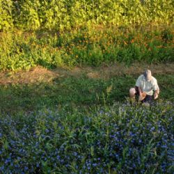 Projekt šetrného zemědělství v Praze 12 získal zvláštní cenu za Prahu v soutěži Adapterra Awards