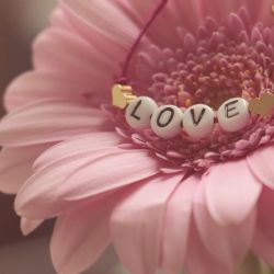 Romantické dárky z botanické zahrady nejen k Valentýnovi