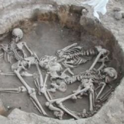 Sbírky Národního muzea pomohly objasnit migraci do Británie v době bronzové