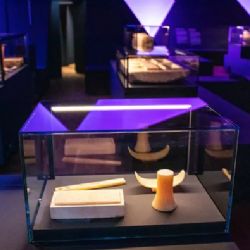 Sluneční králové zůstanou v Národním muzeu až do konce září!