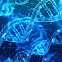 Stát investoval do výzkumu a vývoje v posledních deseti letech 300 mld. Kč