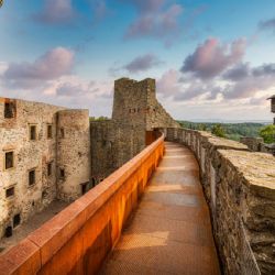 Toulavé boty s IROP zanechají stopy ve čtyřech krajích