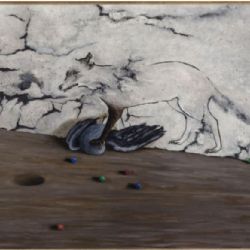 Toyen: Snící rebelka