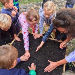 V Praze 2 přibydou nové zahrady ve vnitroblocích i zahrádky pro nejmenší