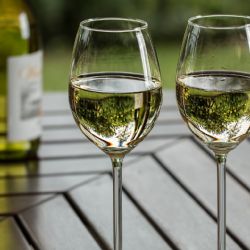 V srpnu bude na vinici sv. Kláry živo