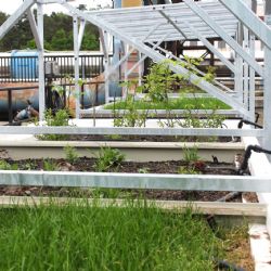 Vědci zkoumají, zda lze využít recyklovanou vodu na závlahu