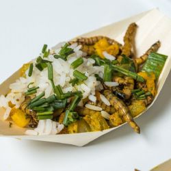 Víkend hmyzožravců v Zoo Praha