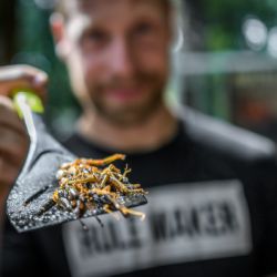 Víkend hmyzožravců v Zoo Praha - ochutnejte stravu budoucnosti