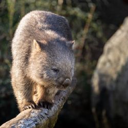 Víkendová odpoledne v Darwinově kráteru