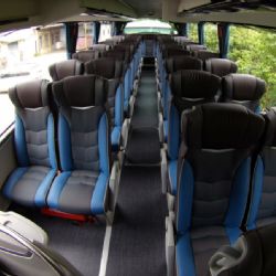 Vláda pomůže podnikatelům zasaženým pandemií, podporu dostanou i zájezdoví dopravci