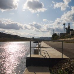 Vláda schválila dohodu mezi českou a německou vládou o plavbě po labské vodní cestě