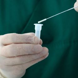 Vláda schválila konec pravidelného preventivního testování ve školách a firmách. Skončí 18. února