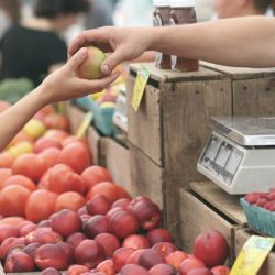 Vláda schválila nový program pro všechny uzavřené provozovny