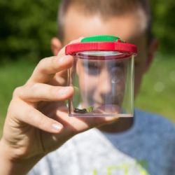 Za vysvědčení do Zoo Praha