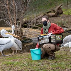 Zoo Praha děkuje za podporu veřejnosti
