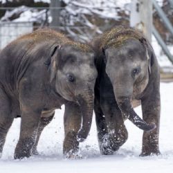 Zoo Praha láká k návštěvě i během zimy