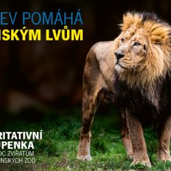 Zoo Praha nabízí možnost podpory ukrajinských zoo koupí „charitativní vstupenky“
