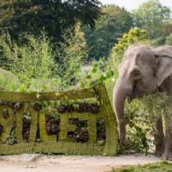 Zoo Praha oslavila 90. výročí svého založení
