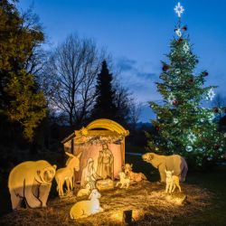 Zoo Praha rozsvítila vánoční strom a představila plánovanou expozici Arktidy