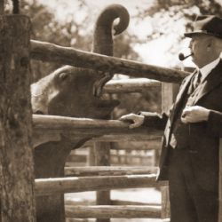 Zoo Praha slaví 90. výročí svého otevření. V dobových kostýmech, s hudbou a speciálním programem