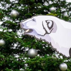 Zoo Praha v neděli rozsvítí vánoční strom a představí plánovanou expozici Arktidy