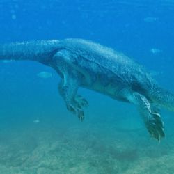 Zoo Praha získala unikátní živoucí fosilii, želvovce strašného