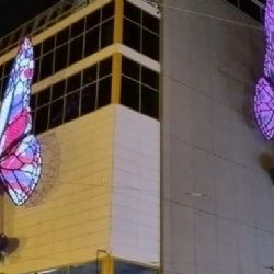 Pohybliví motýli na domě Máj: Umělecká instalace má povolení až do srpna