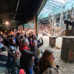 Rezervace Dja v Zoo Praha byla konečně slavnostně otevřena