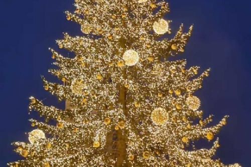 obrázek:Praha rozsvítila vánoční strom na Staroměstském náměstí: Začaly trhy a slavnostní show