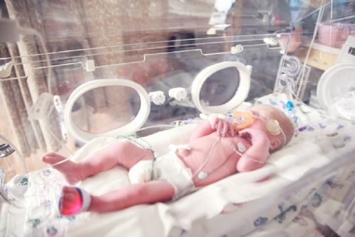 Foto: Předčasné porody: Nízké T-lymfocyty u matek jako rizikový faktor