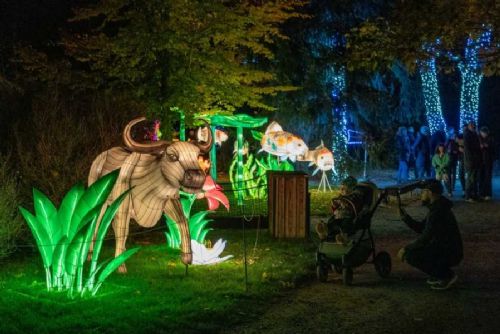 obrázek:Zářivá zvířecí show v Zoo Praha: Objevte Divokou Asii!